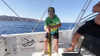 Акаба, Jordan — лучший выезд с гидом: маршруты и результаты