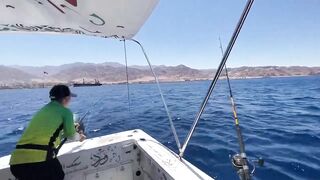 Акаба, Jordan — лучший выезд с гидом: маршруты и результаты