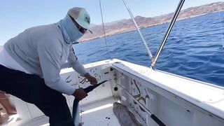 Акаба, Jordan — лучший выезд с гидом: маршруты и результаты