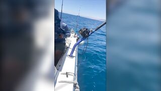 Aqaba, Jordan — тот самый выезд: морская рыбалка в Акабском заливе