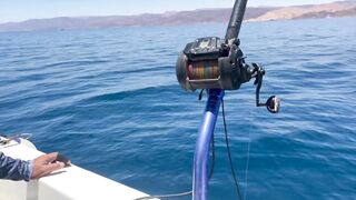 Aqaba, Jordan — тот самый выезд: морская рыбалка в Акабском заливе