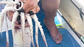 Aqaba, Jordan — тот самый выезд: морская рыбалка в Акабском заливе