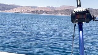 Aqaba, Jordan — тот самый выезд: морская рыбалка в Акабском заливе