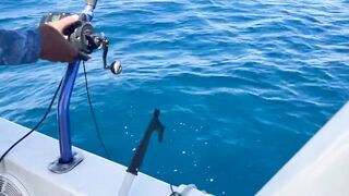 Aqaba, Jordan — тот самый выезд: морская рыбалка в Акабском заливе