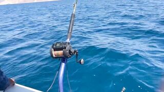 Aqaba, Jordan — тот самый выезд: морская рыбалка в Акабском заливе