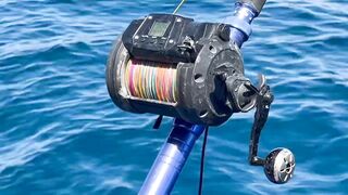 Aqaba, Jordan — тот самый выезд: морская рыбалка в Акабском заливе