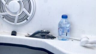 Aqaba, Jordan — тот самый выезд: морская рыбалка в Акабском заливе