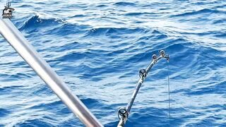 Aqaba, Jordan — рыбалка в Красном море: днём у волнорезов