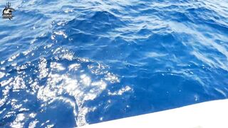 Aqaba, Jordan — рыбалка в Красном море: днём у волнорезов