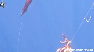 Aqaba, Jordan — рыбалка в Красном море: днём у волнорезов