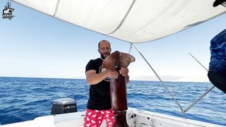 Aqaba, Jordan — рыбалка в Красном море: днём у волнорезов