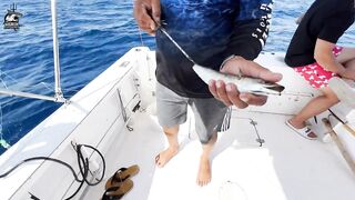 Aqaba, Jordan — рыбалка в Красном море: днём у волнорезов