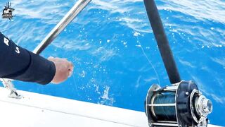 Aqaba, Jordan — рыбалка в Красном море: днём у волнорезов