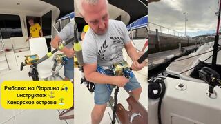 Открытая вода: рыбалка на марлина — снасти, скорость, тактика