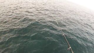 Канары — первая рыбалка: апрель 2013, берег и первые поклёвки