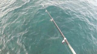 Канары — первая рыбалка: апрель 2013, берег и первые поклёвки