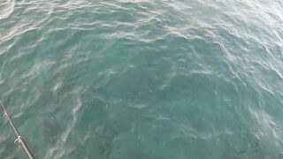 Канары — первая рыбалка: апрель 2013, берег и первые поклёвки