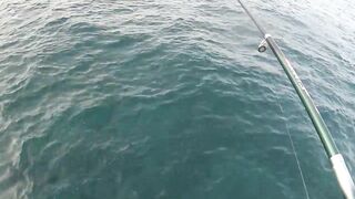 Канары — первая рыбалка: апрель 2013, берег и первые поклёвки