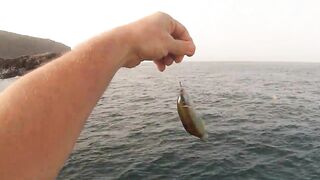 Канары — первая рыбалка: апрель 2013, берег и первые поклёвки