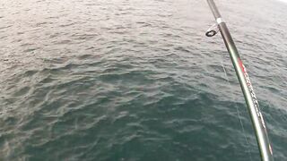 Канары — первая рыбалка: апрель 2013, берег и первые поклёвки