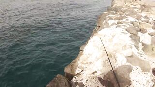 Канары — первая рыбалка: апрель 2013, берег и первые поклёвки