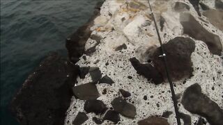 Канары — первая рыбалка: апрель 2013, берег и первые поклёвки