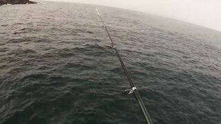 Канары — первая рыбалка: апрель 2013, берег и первые поклёвки