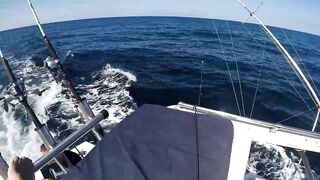 Tenerife HD — морская рыбалка на Канарах: первый опыт с берега