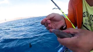 Канарские острова для туристов: рыбалка стоит своих денег?