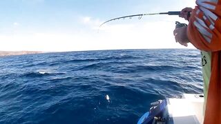 Канарские острова для туристов: рыбалка стоит своих денег?