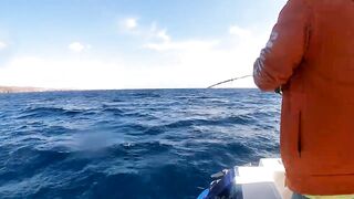 Канарские острова для туристов: рыбалка стоит своих денег?