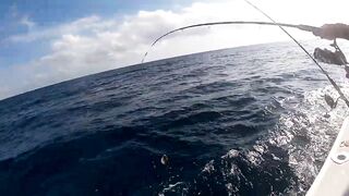 Канарские острова для туристов: рыбалка стоит своих денег?