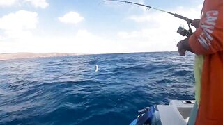 Канарские острова для туристов: рыбалка стоит своих денег?