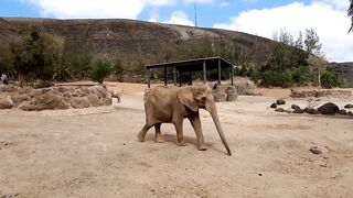 Канарские острова для туристов: рыбалка стоит своих денег?