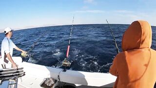 Канарские острова для туристов: рыбалка стоит своих денег?