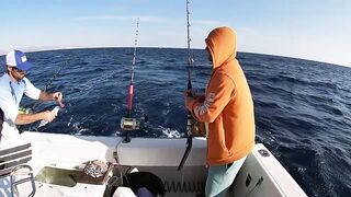 Канарские острова для туристов: рыбалка стоит своих денег?