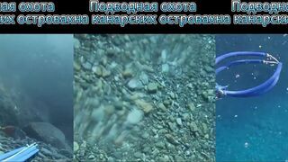 Канарские острова — подводная охота: выбор мест от берега до свала