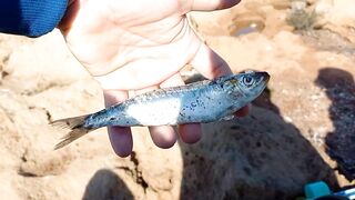 Rabat, Morocco — рыбалка в Атлантике: прибой, свалы и ветер