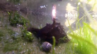 Марокко 2013 — рыбалка просто Morocc: первый выход к Атлантике