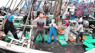 Агадир, Morocco — стримфуд в рыбном порту, что попробовать после улова?