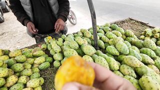 Агадир, Morocco — стримфуд в рыбном порту, что попробовать после улова?