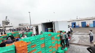 Агадир, Morocco — стримфуд в рыбном порту, что попробовать после улова?