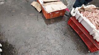 Агадир, Morocco — стримфуд в рыбном порту, что попробовать после улова?