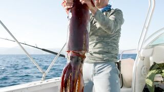 Jordan — поиск гигантского кальмара: снасти, луна и шансы