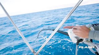 Jordan — поиск гигантского кальмара: снасти, луна и шансы