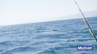 Jordan — поиск гигантского кальмара: снасти, луна и шансы