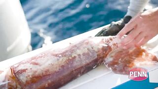 Jordan — поиск гигантского кальмара: снасти, луна и шансы