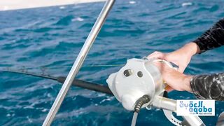 Jordan — поиск гигантского кальмара: снасти, луна и шансы