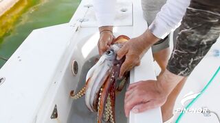 Jordan — поиск гигантского кальмара: снасти, луна и шансы