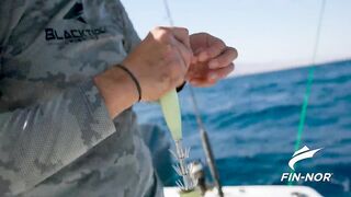 Jordan — поиск гигантского кальмара: снасти, луна и шансы